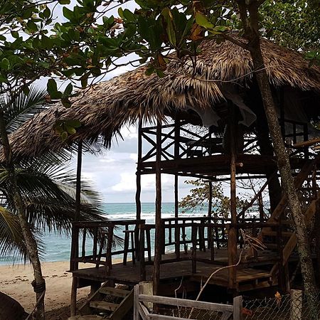 Cabarete Maravilla Eco Lodge & Beach La Mulata Eksteriør bilde