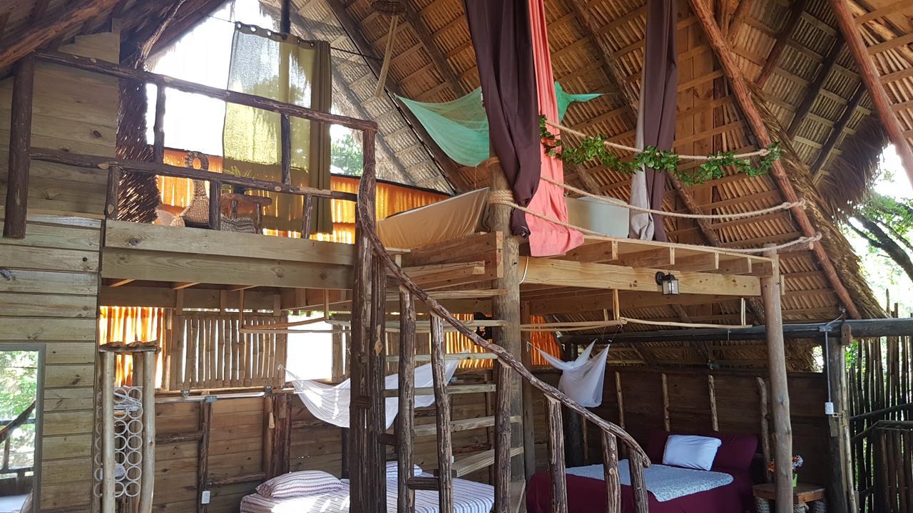 Cabarete Maravilla Eco Lodge & Beach La Mulata Eksteriør bilde