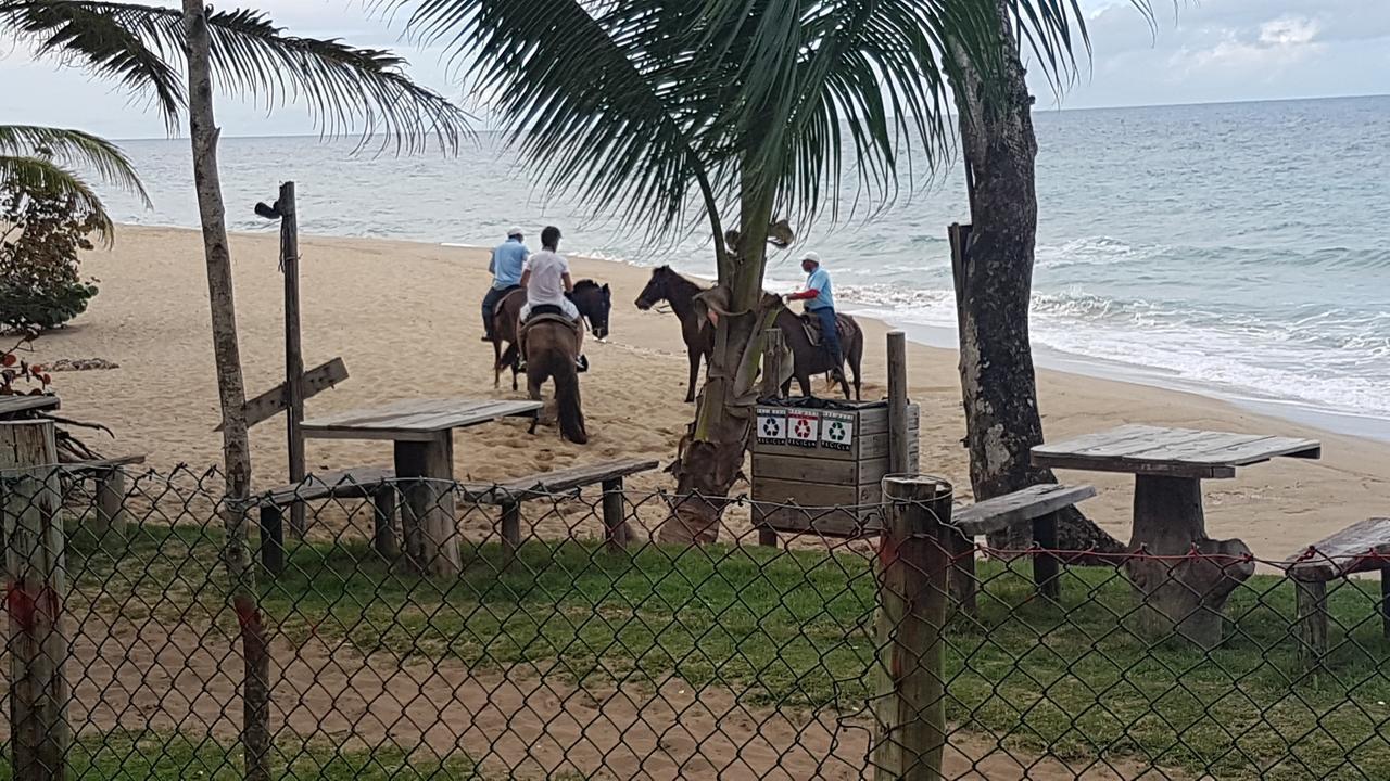 Cabarete Maravilla Eco Lodge & Beach La Mulata Eksteriør bilde
